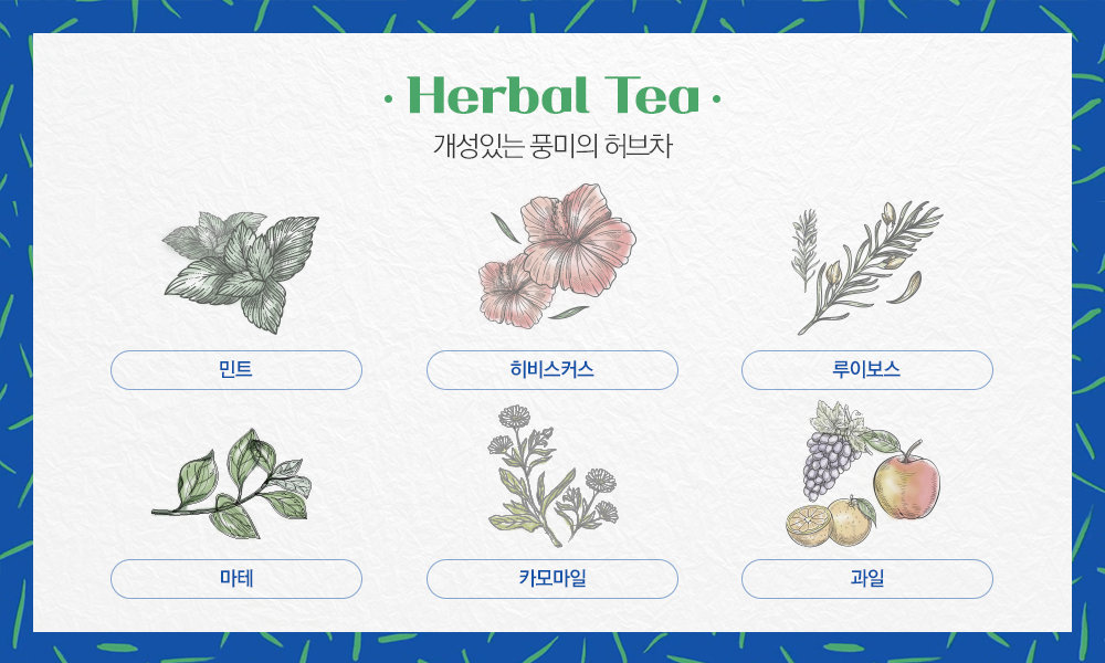 허브차 계열 제품