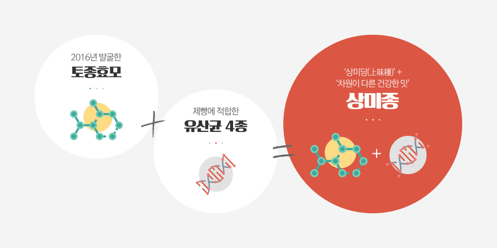 상미종