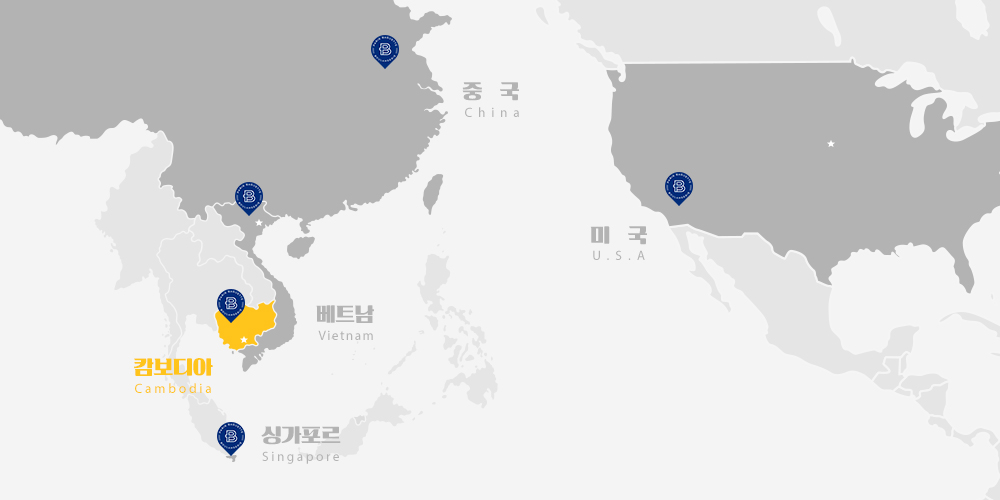 해외 진출