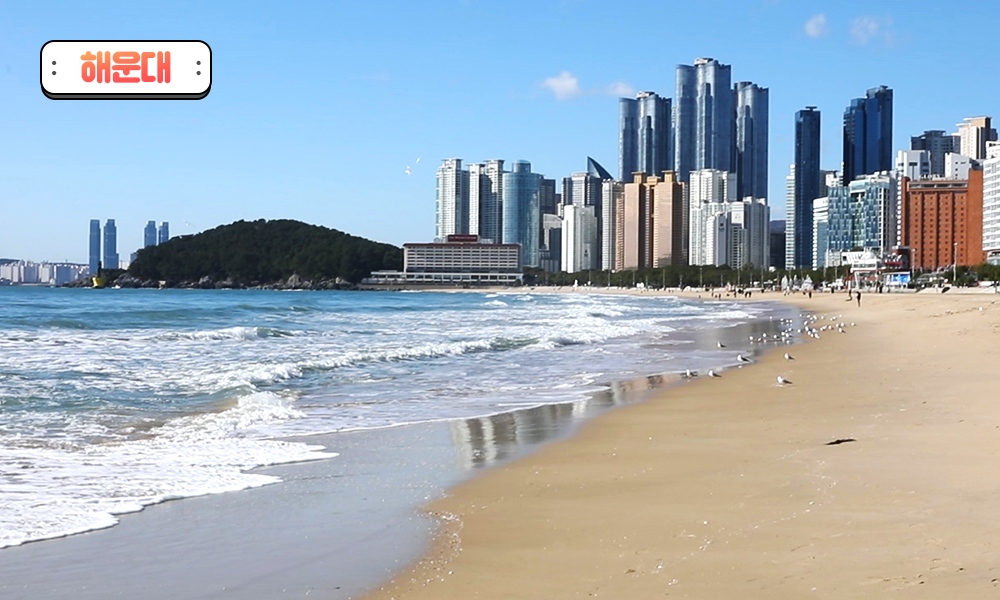 브이로그 해운대