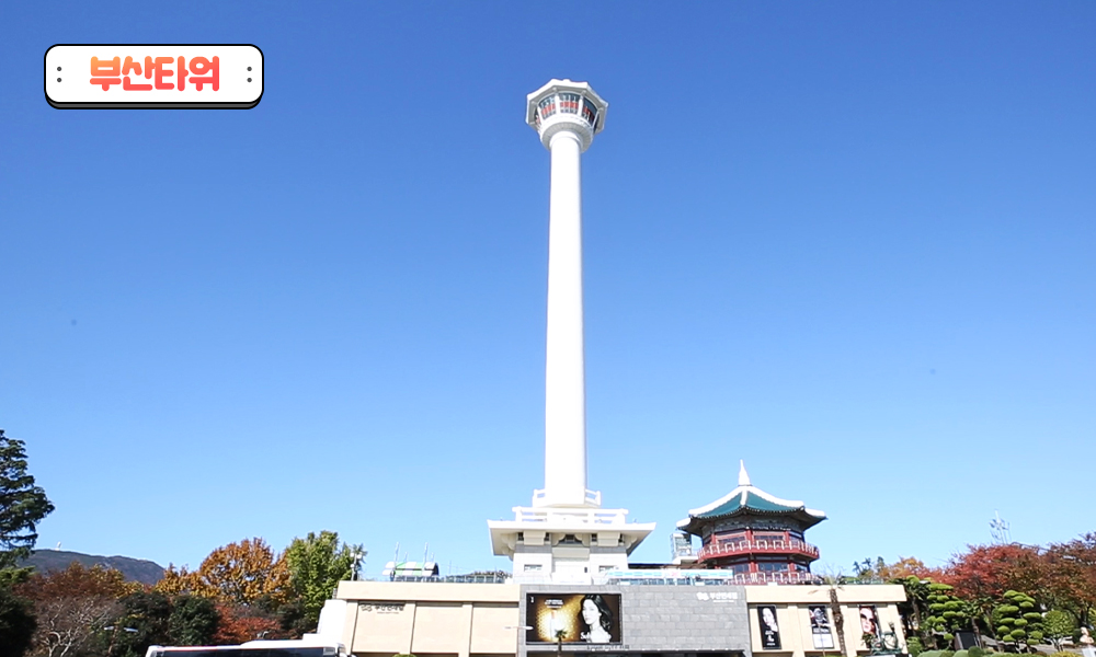 브이로그 부산타워 전망대