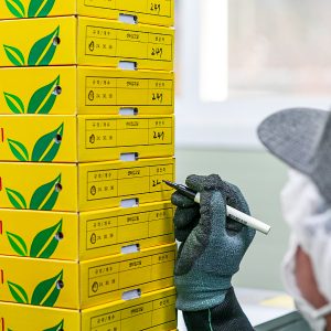 진주팜 딸기농가