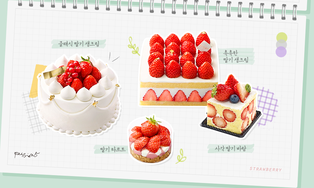 2월 신제품 패션5