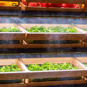 피그인더가든 코엑스점 신선한 채소