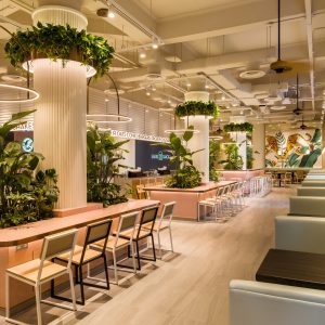 싱가포르 쉐이크쉑 닐로드점 내부 싱가포르 쉐이크쉑 닐로드점 내부