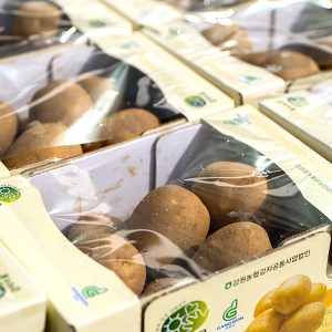 SPC그룹이 후원한 못난이감자