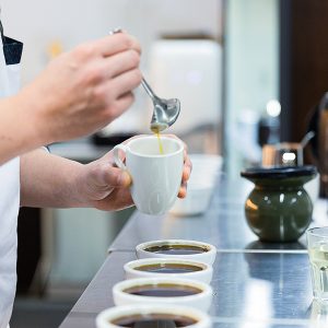 원두를 테스트하는 SPC그룹 연구원들의 모습 원두를 테스트하는 SPC그룹 연구원들의 모습