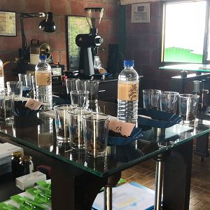 ‘엘 파라이소’ 농장의 협업하는 SPC그룹 ‘엘 파라이소’ 농장의 협업하는 SPC그룹