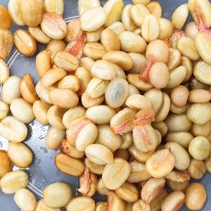 분리된 커피 체리 분리된 커피 체리