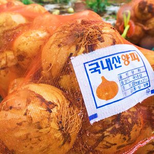 국내산 무안 양파