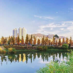 부산시민공원 (사진 출처: Instagram @young2.pic) 부산시민공원 (사진 출처: Instagram @young2.pic)