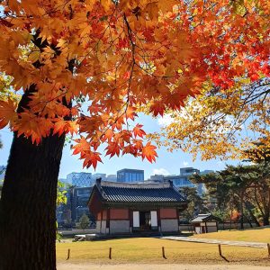 선릉과 정릉 (사진 출처: Instagram @chani.may) 선릉과 정릉 (사진 출처: Instagram @chani.may)