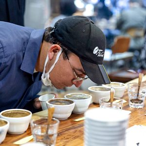 커피의 향을 맡아보는 농장 관계자 커피의 향을 맡아보는 농장 관계자