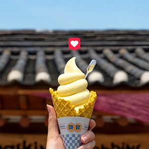 ‘마당 소프트 서브 옥수수’ '마당 소프트 서브 옥수수'