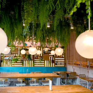 쾌적하고 편안한 분위기에서 샐러드를 즐길 수 있는 피그인더가든