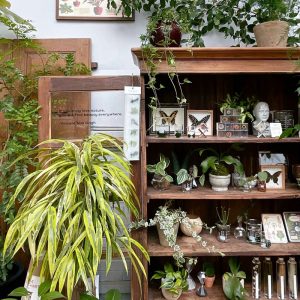 지친 현대인에게 식물을 처방하는 ‘슬로우파마씨’ (*출처 : 슬로우파마씨 네이버 지도 / 슬로우파마씨 공식 인스타그램)