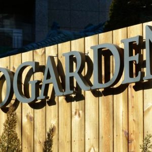 색다른 매력의 호주 식물을 만나볼 수 있는 ‘노가든’ (*출처 : 노가든 공식 인스타그램)