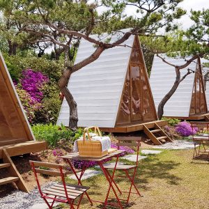 ‘팜크닉’ 콘셉트를 곁들인 ‘캠프닉’ 공간 (*출처 : 베리가든 공식 인스타그램)