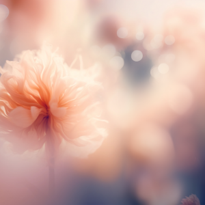 PAN_COY_Categories_Place_Flower_2023_11-21 PAN_COY_Categories_Place_Flower_2023_11-21