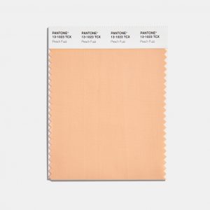 Pantone_swatch Pantone_swatch