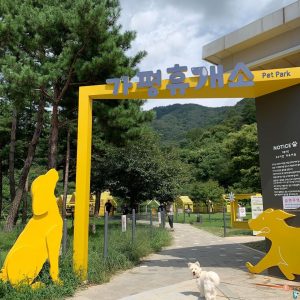 펫 파크 펫 파크