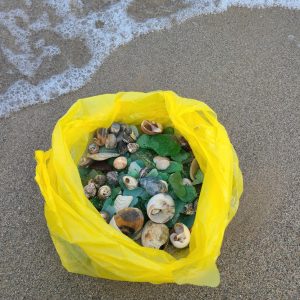 KakaoTalk_20220613_223959418