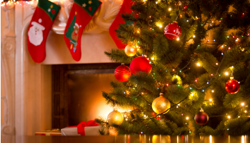 SPC와 함께 크리스마스를 즐기는 방법