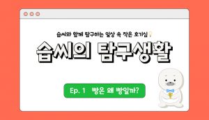 빵은 왜 빵일까