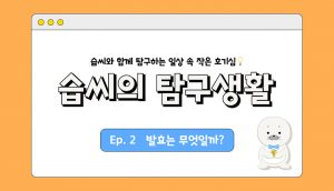 습씨의 탐구생활 2