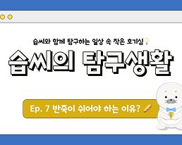 실제 아티클용) 썸네일 디자인 360_206 2